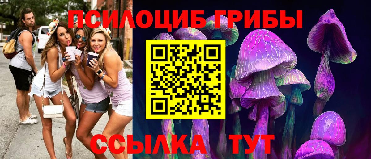 Галлюциногенные грибы мицелий Гусиноозёрск