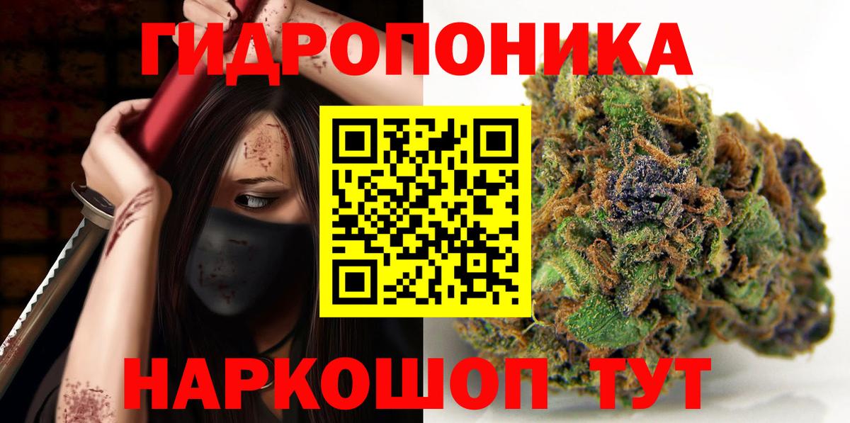 Каннабис индика Гусиноозёрск